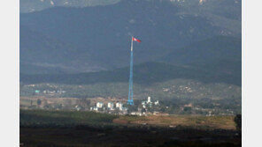 北, 탈북민에게 막말 비난…“반공화국 모략에 날뛰어”