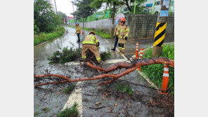 ‘야행성 물폭탄’에 붕괴·침수·정전 피해 잇따라…56명 한때 대피