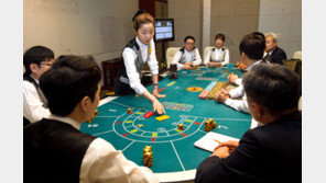 강원랜드, 57억원 들여 카지노 칩 63만1200개 내년까지 새로 제작