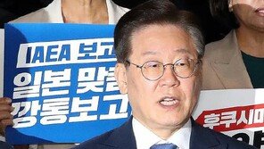 與 “IAEA와 싸우는 곳 북한·이란밖에 없어…민주당 고립”