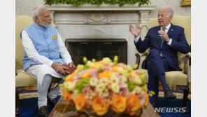 ‘반도체 허브’ 노리는 인도…투자금 몰리는 이유 봤더니