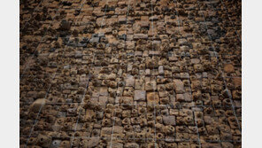 “가난한 농부의 아들로 산 유년 기억이 내 작품의 원천” 