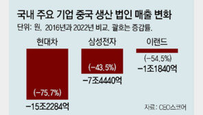 삼성도 현대도 맥 못췄다… 기업들 中법인 매출액 13% ‘뚝’ 