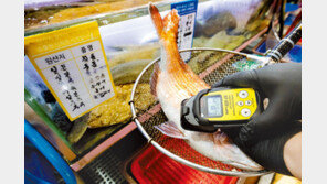 수산물 안전성 Q&A… 전문가 “日고등어-갈치…韓 유입되지 않아”