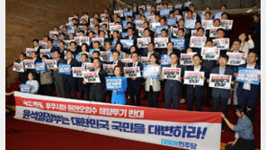 野 “IAEA,인체 유해성 판단할 전문성 부족”… IAEA “WHO 등 국제기구가 안전기준 지지” 