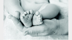 [단독]美선 ‘공공 베이비박스’로 4414명 구조… “한국도 익명 출산 검토를” 