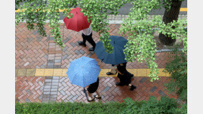토요일까지 제주·남부 150㎜ 장맛비…일요일부터 소나기·폭염