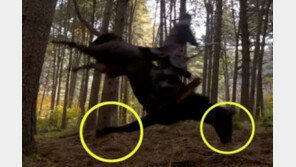 檢, ‘말 학대’ 혐의 KBS ‘태종 이방원’ 제작진 기소