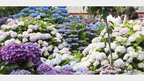 제주 6월 평균기온 역대 세 번째로 높아…열대야 일수 4위