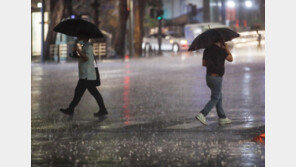 내일 새벽부터 제주·남부 최대 150㎜ 비…중부는 ‘폭염’