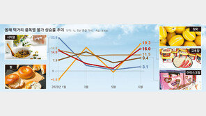 아이스크림 값 9%↑-참외 19%↑… 먹거리 물가 다시 고공행진 