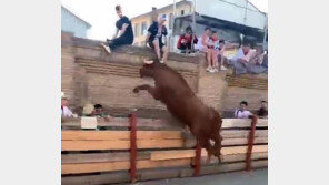 황소를 화나게 하면…펜스 뛰어넘어 군중 공격