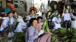 농협, ‘돌아온 농활!’ 진행