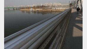 “쌍용차 해고자 복직”…한강대교서 투신한 60대 무사 구조