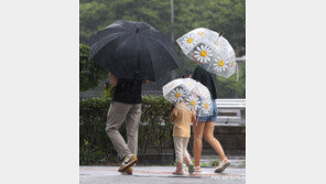 천둥·번개 동반한 강한 비…낮 최고 33도 [내일날씨]