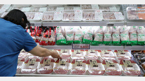 닭고기, 1년 전보다 14% 올라 kg당 평균 6364원 