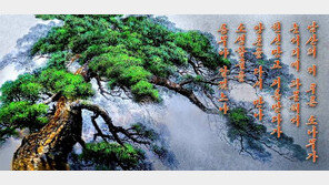 北, 김일성 기일 맞아 ‘대 이은 충성’ 강조…‘남산의 푸른 소나무’ 부각