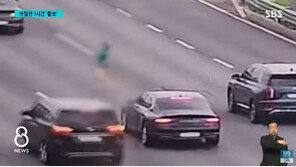 5차선 고속도로에 맨몸으로 아찔한 활보…신고 빗발쳐