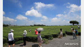 제주 체감온도 32도 넘어…올해 첫 폭염주의보