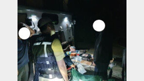“국립공원 내 취사·야영·흡연 절대 안 돼”…여름철 집중단속