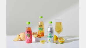 풀무원샘물, 제로칼로리 탄산음료 ‘브리지톡’ 신제품 출시