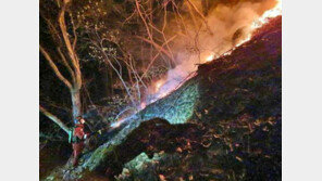 ‘인공지능·농림 위성’ 활용해 산불·산사태 대응한다