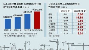 새마을금고發 부동산PF 대출 부실 우려… 시중은행도 긴장