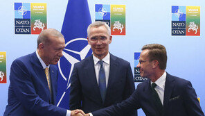 “튀르키예, 스웨덴 나토가입 비준절차 진행 동의”