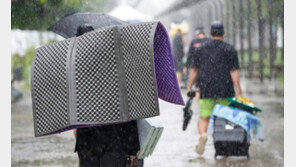 서울 동남권에도 ‘호우주의보’…시간당 30~60mm ‘매우 강한 비’