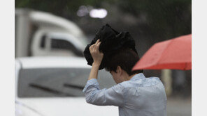 갑자기 쏟아진 장대비에 출근길 시민들 ‘혼비백산’…“옷 다 젖었네”