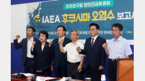 민주, IAEA 보고서에 “일본 맞춤형, 과학적으로도 문제 많아”