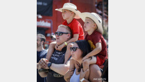“미국 가구 3곳 중 1곳은 독신”…美 독신자 비율 역대 최고
