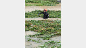 여주서 산책하던 70대, 불어난 하천에 휩쓸려 숨져