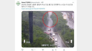 집중호우로 노들로 일대 전면 통제…올림픽대로·동부간선도로에 물고임