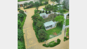 오늘 최고 150㎜ 더 온다… 돌풍-천둥 동반한 강한 비