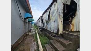 김제 돼지 농장서 불…500여마리 폐사·재산피해 2억4900만원