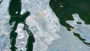 여수 해상서 선저폐수 300ℓ 무단 배출한 60대 선장 적발