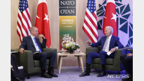 “美, 튀르키예 F-16 이전, 상·하원 외교위 의원들 손에 달려”