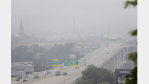 블루카본, 탄소중립 시대의 새로운 해법[기고/최기석]