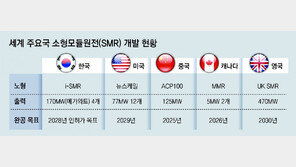 ‘챗GPT 아버지’까지… “AI 전력 수요 대응” 소형원전 투자 봇물