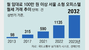월세 100만원 이상 서울 오피스텔 계약 ‘최대’