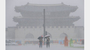 수도권 내일까지 최대 250mm 물폭탄