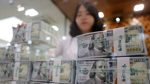 美금리인상 사실상 끝, 달러 급락…14개월래 최저