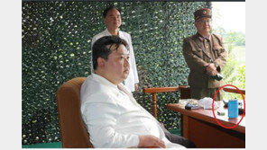 ‘효능’ 적힌 음료캔에 빨대 꽂아 마셔…김정은 건강 이상 징후 포착