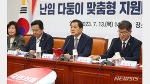 당정 “의료비 바우처, 다태아도 각각 100만원씩 지급”