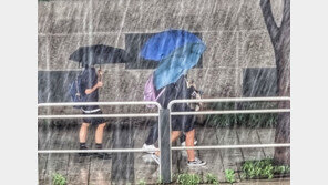 서울에 1시간 30㎜ 넘는 ‘물폭탄’… 누적 100㎜ 육박하는 곳도