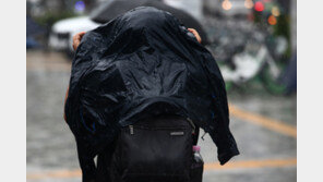 서울 퇴근길 시간당 30~80㎜ 강한 비…내일까지 최대 250㎜