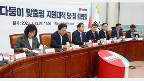 쌍둥이 200만원, 삼둥이 300만원… 당정 ‘다둥이 바우처’ 확대