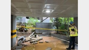 밤샘 폭우에 서울 곳곳 정전…6개 시도 134명 대피