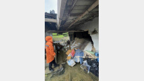 나무 쓰러지고 도로 잠기고…밤새 장맛비로 경북 피해 잇따라